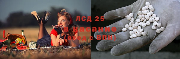 соль курить ск Алзамай