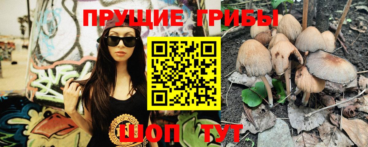 Псилоцибиновые грибы Magic Shrooms  где найти   Вход с VPN  Грязи  Псилоцибиновые грибы Psilocybine cubensis 